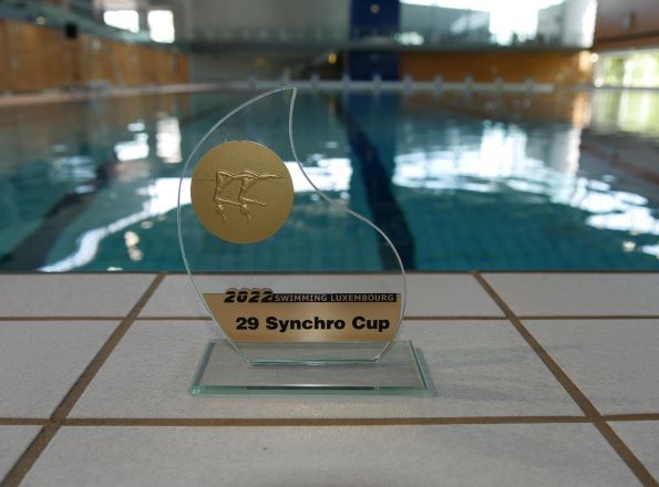 29ème Synchro Cup